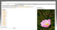 Desktop Screenshot of free-photo-gallery.org