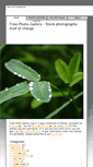 Mobile Screenshot of free-photo-gallery.org